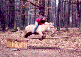 1975: erste Reit- versuche auf dem Ponyhof